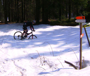 Versunken im Schnee...